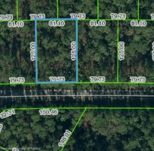 7136 Virtudes St, Sebring, FL, 33872