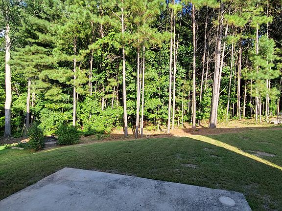 backyard with patio and woods