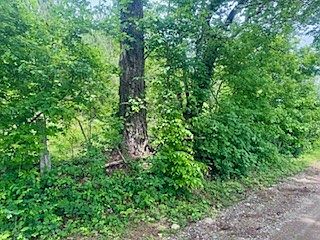2nd image of 0 Les Ferrell Rd
