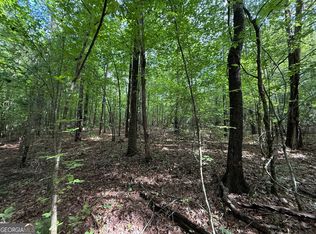 Us Highway 80 W LOT 1, Roberta, GA 31078