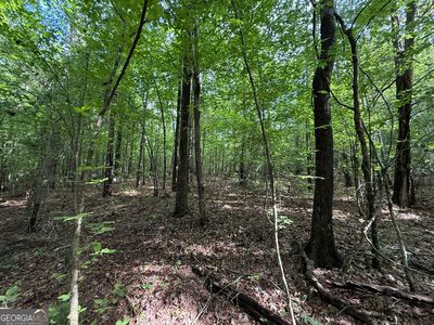 Us Highway 80 W LOT 1, Roberta, GA, 31078