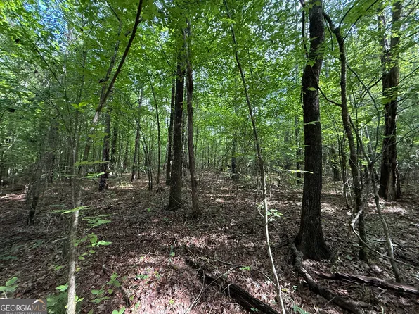 Us Highway 80 W Lot 1, Roberta, GA 31078