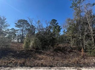 SE 186th Ter #22, Morriston, FL 32668