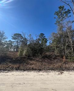 TBD SE 186 TERRACE LOT 22, Morriston, FL, 32668