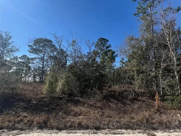 SE 186th Ter #22, Morriston, FL 32668