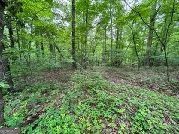 LOT 34&35 Cherokee Trl, Mc Caysville, GA 30555