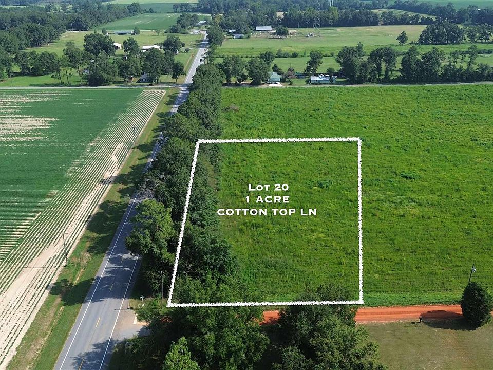 1st image of 20 Cotton Top Ln