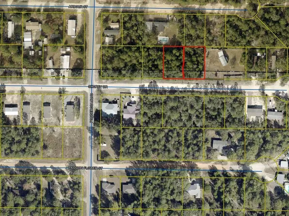LOT 5 Shorey Dr, Defuniak Springs, FL 32433