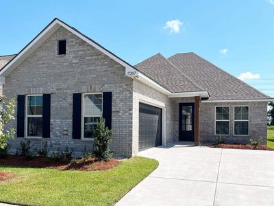 17207 Tidewater Ln, Baton Rouge, LA, 70810