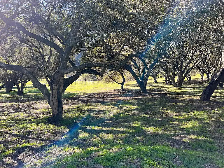 Hambey Ln — Photo 33