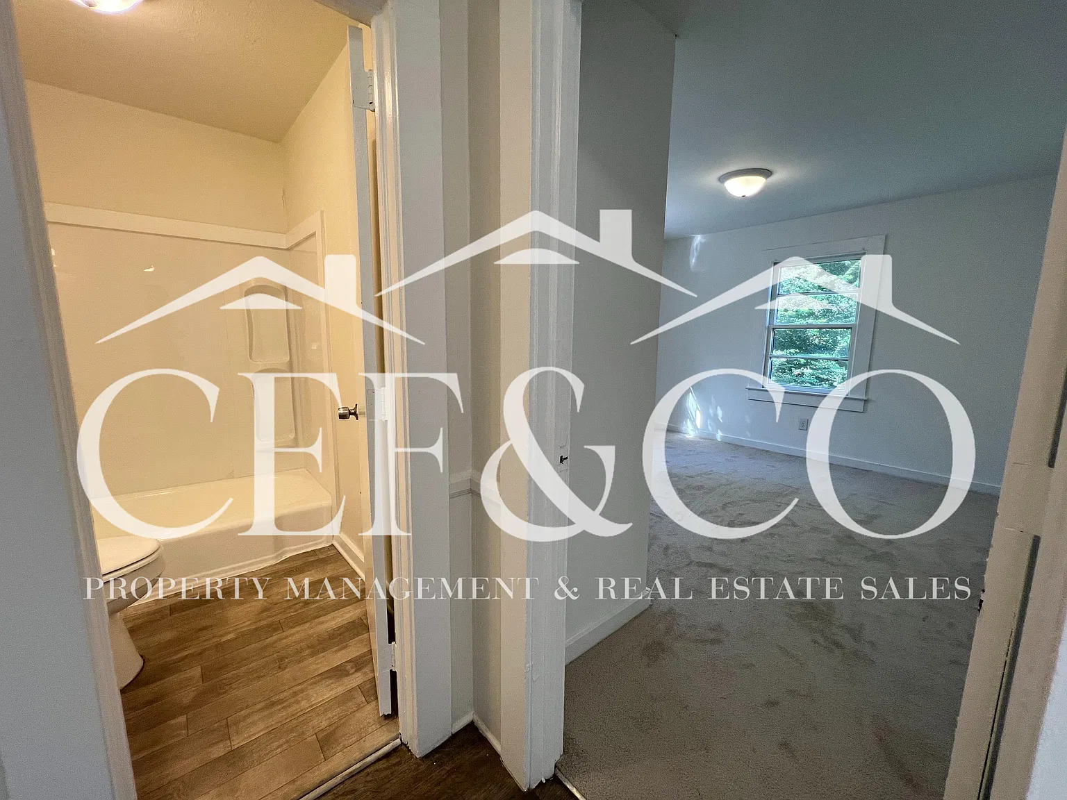 2 bed, 816 sqft, $895 — Photo 4