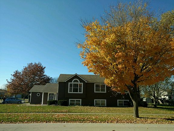 Fall 2016 - Beautiful trees