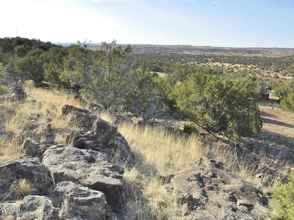 13J Wagon Ln, Show Low, AZ 85901