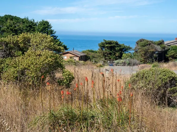 15101 Mallo Pass Dr, Manchester, CA 95459