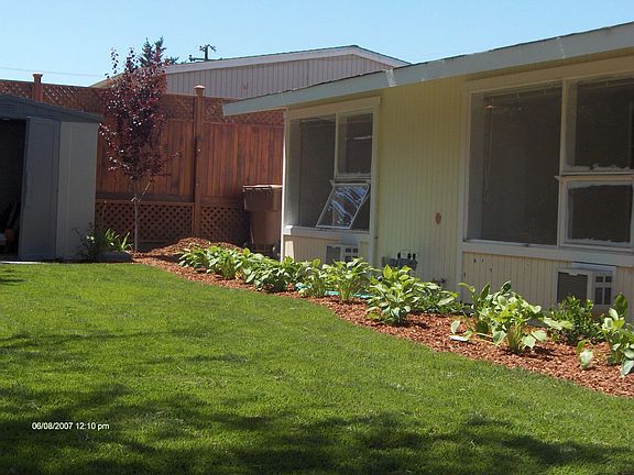 Landscaping in back