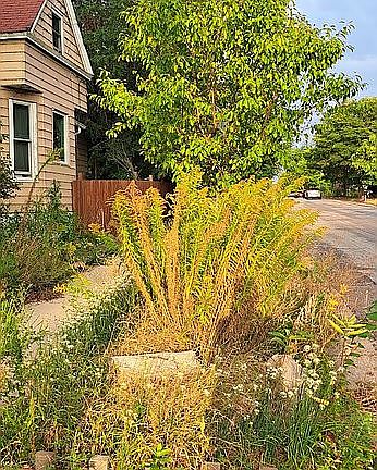 4th image of 3547 14th Ave S