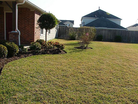 Front/side of yard
