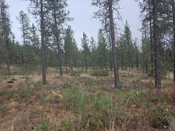 1178 Fumi Cir, Kettle Falls, WA 99141