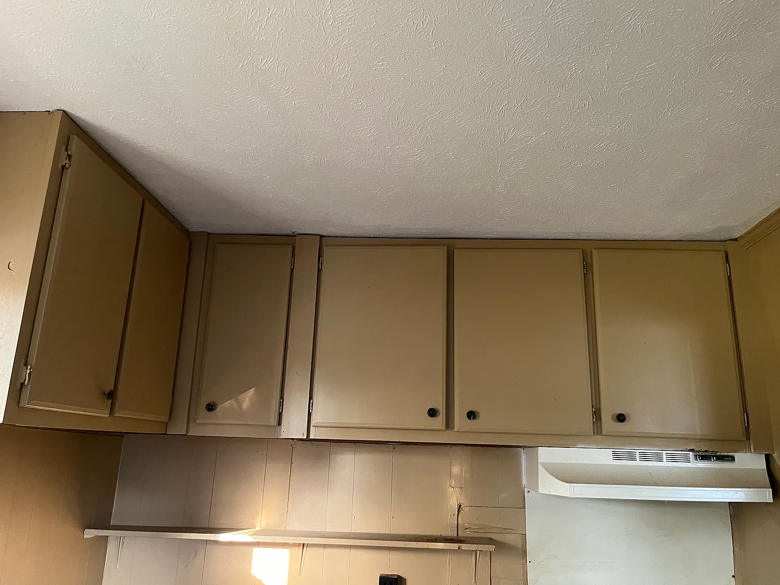 2 bed, 707 sqft, $800 — Photo 4