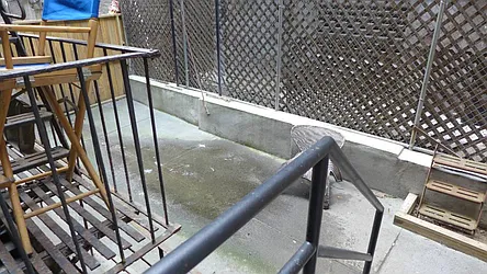 Rented by New York Quality Living Downtown