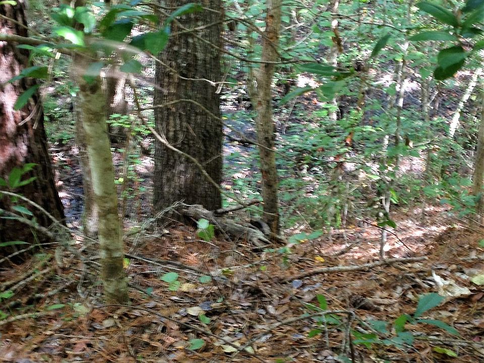 1st image of 6671 Carolina Beach Road