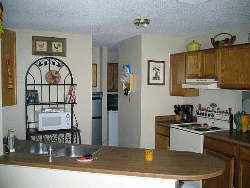 5th image of 10410 HARBOR SPRING DR