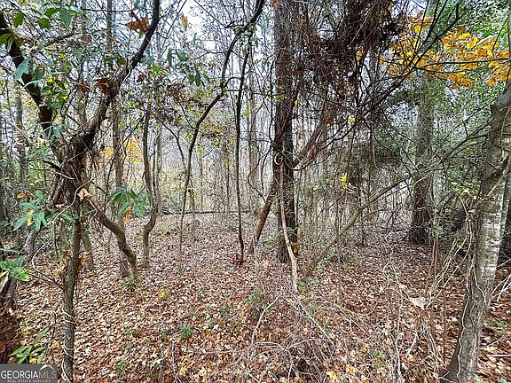 5th image of 101 Ivy Springs Dr