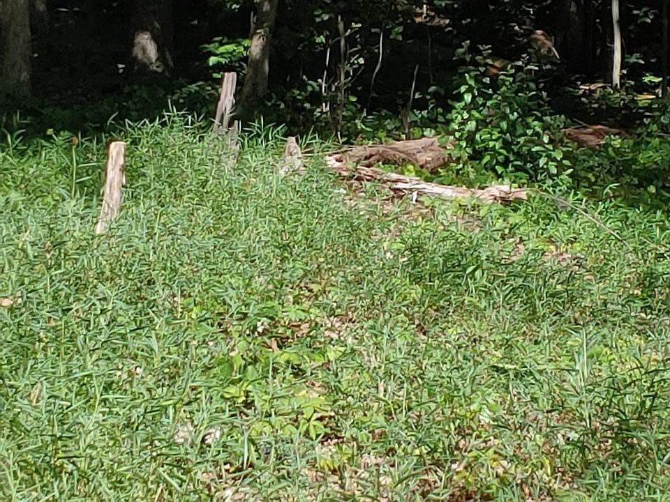 1st image of 151 Kawga Way