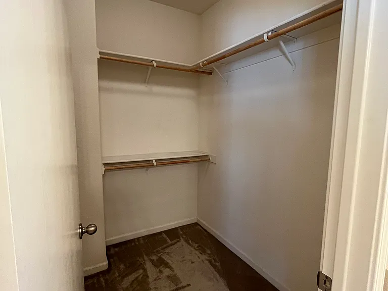 Master Walk-in Closet