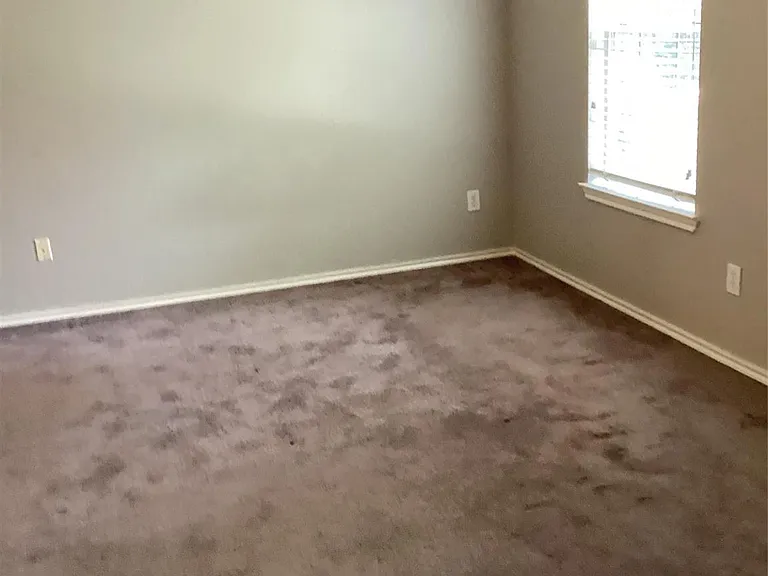 46 Wineberry Pl — Photo 20