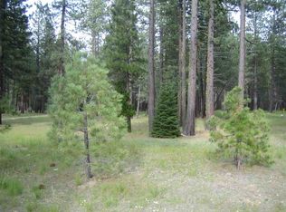 176 Eureka Springs Dr, Blairsden, CA 96103