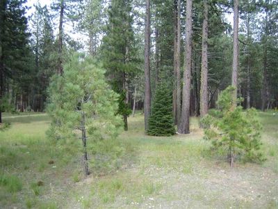 176 Eureka Springs Dr, Blairsden, CA, 96103