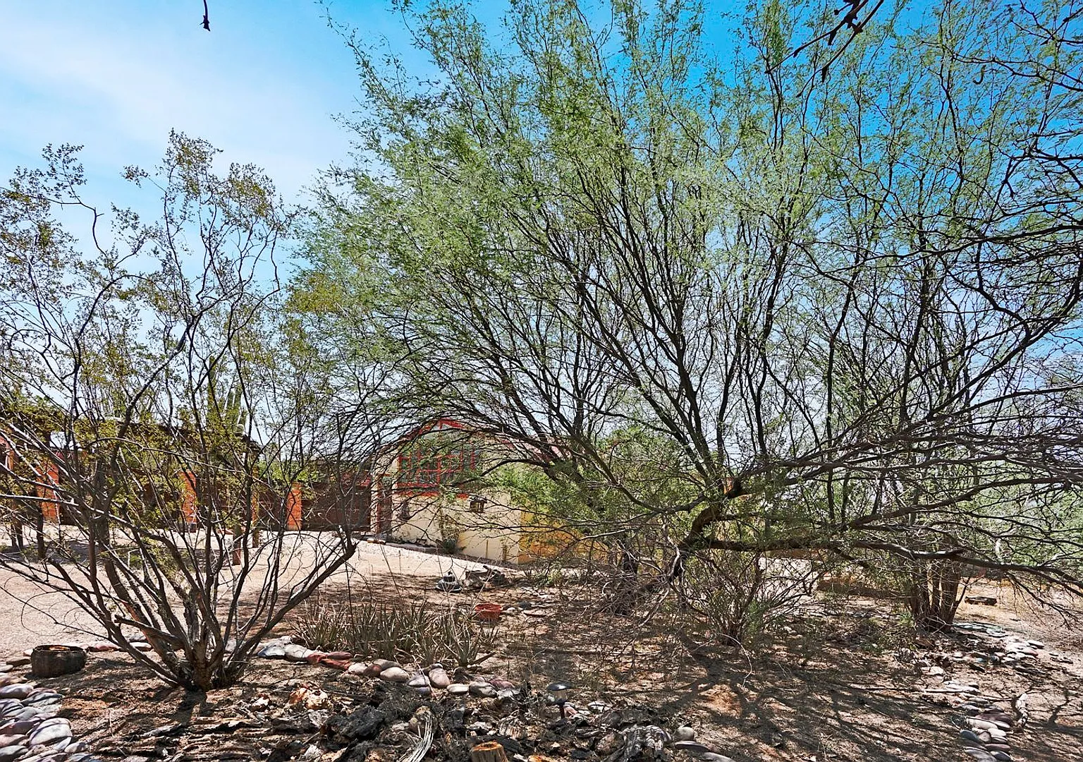 Sunlit Midtown Tucson Sanctuary: 1-Bed Apartment Near UA & Banner Health — Photo 2