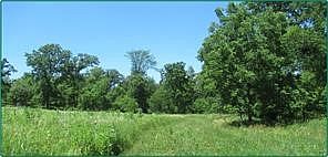 2nd image of Sawyer Rd
