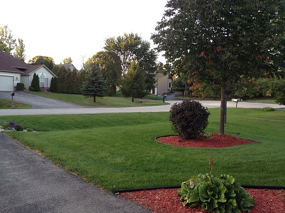 3rd image of 1249 Marigold Cir