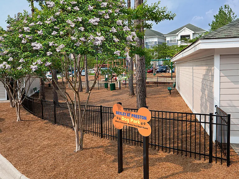 Dog Park