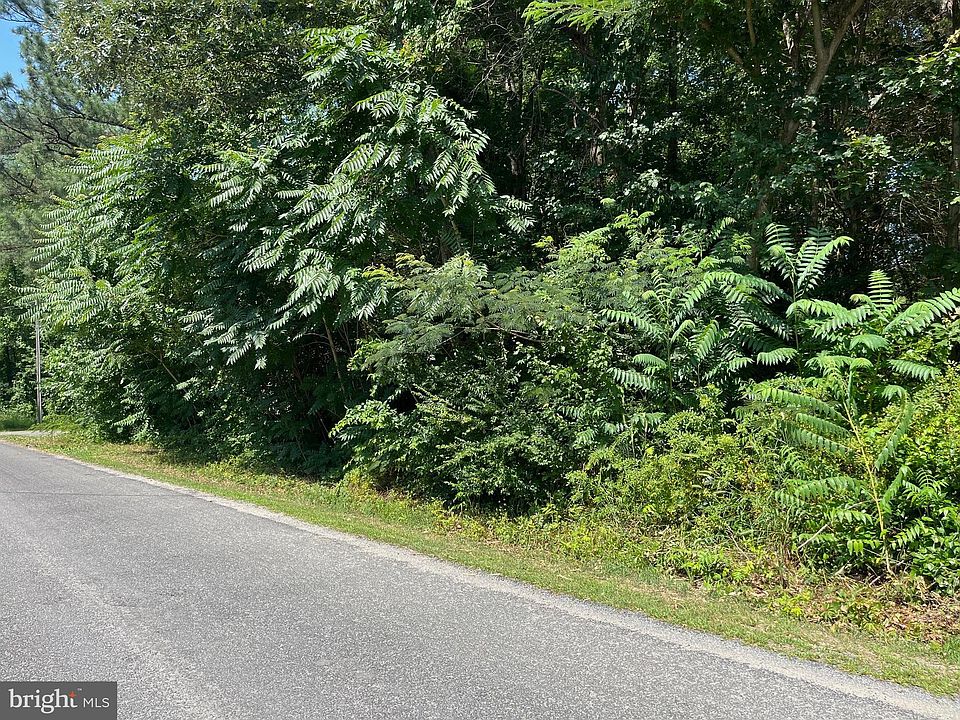 2nd image of 0 Forest Ave