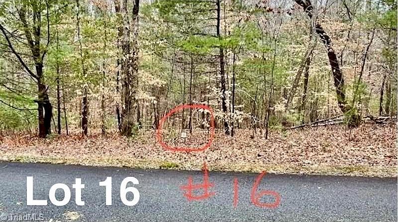 1st image of 16 Woods Haven Ln