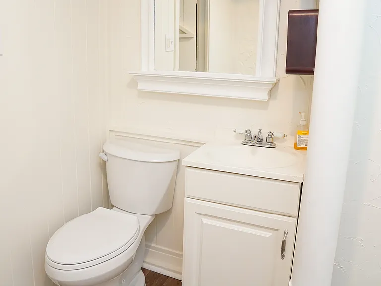 lower level bathroom