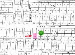 3425 Flowering Spring Ave, Lake Placid, FL 33852