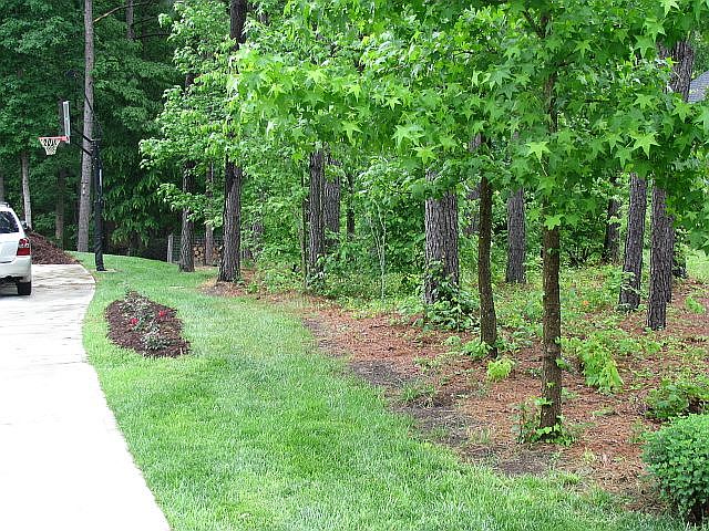2nd image of 1074 Anjanette Ln
