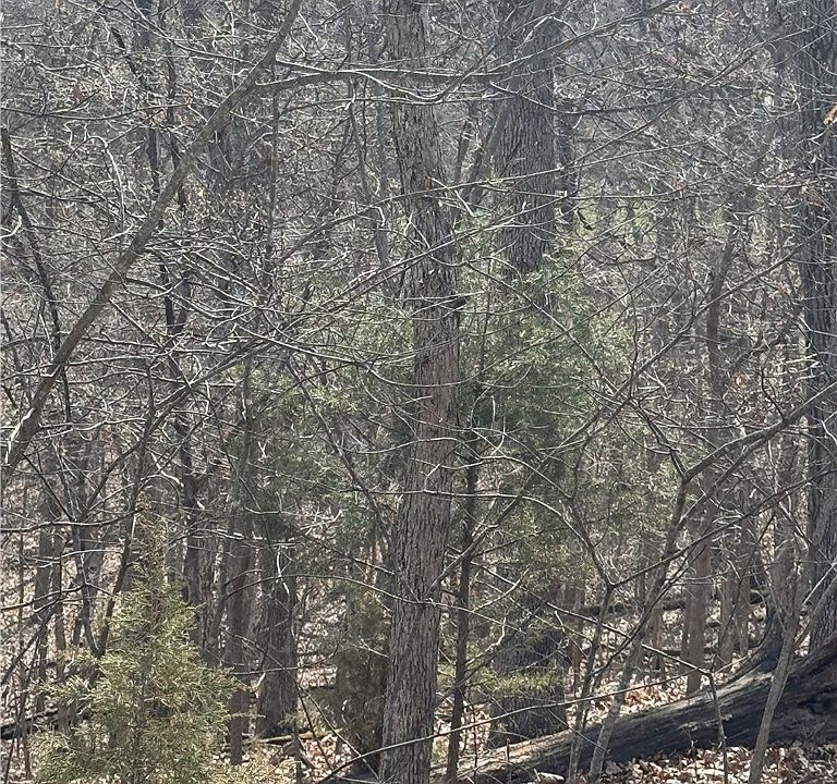2nd image of Cambridge Dr