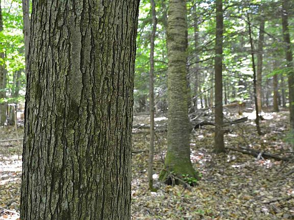 4th image of E Cherry Park Dr