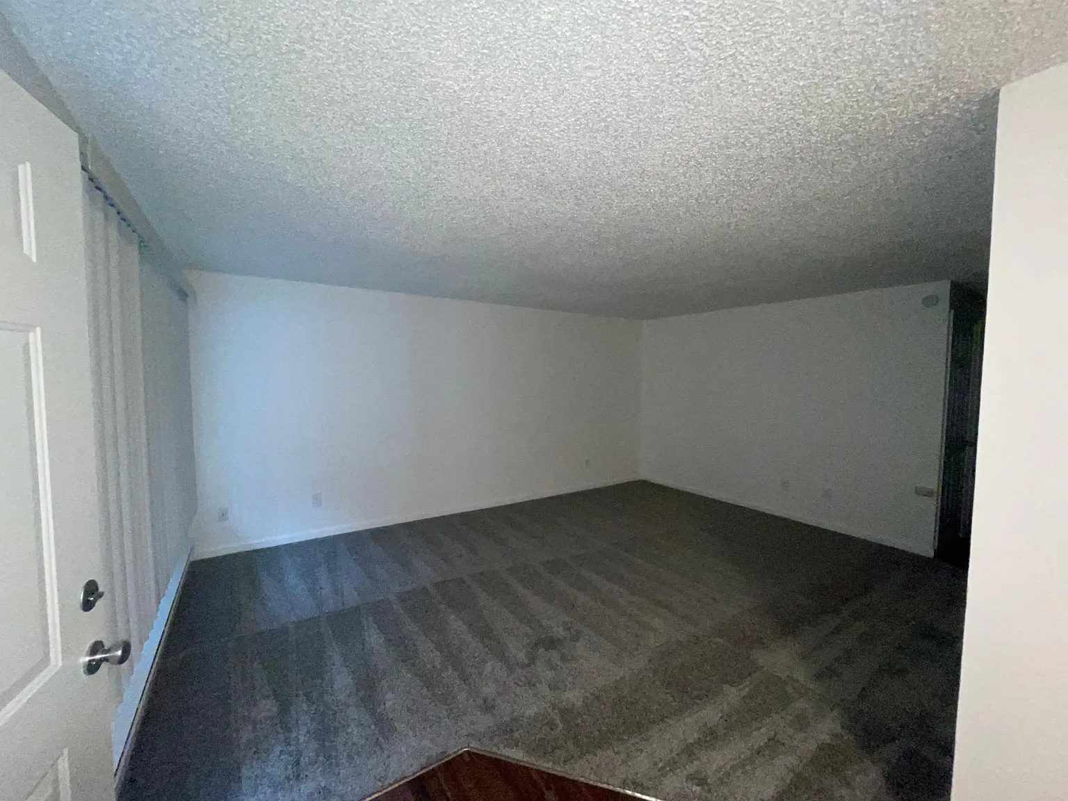 Forest View Apartments — Photo 3