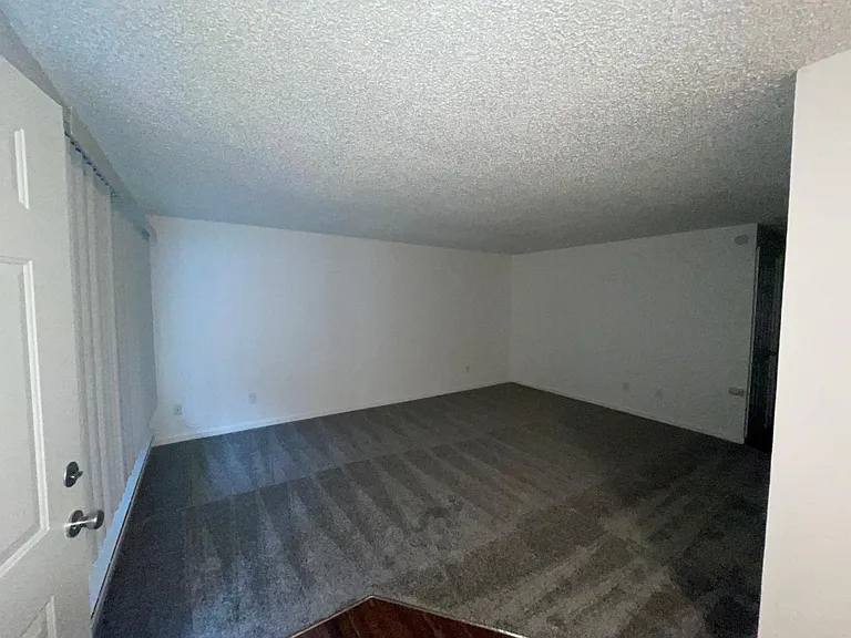 Forest View Apartments — Photo 3
