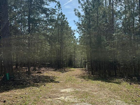 4th image of 1035 Seminole Dr Lot 103