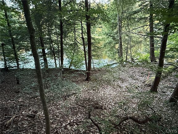 5th image of 1 River Rd