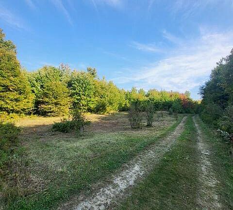 5th image of Lot 8 Lambert Lane