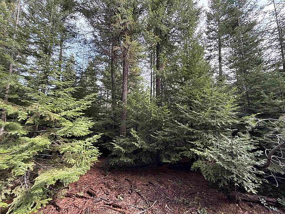 4th image of 4828 Eagle Ridge Way