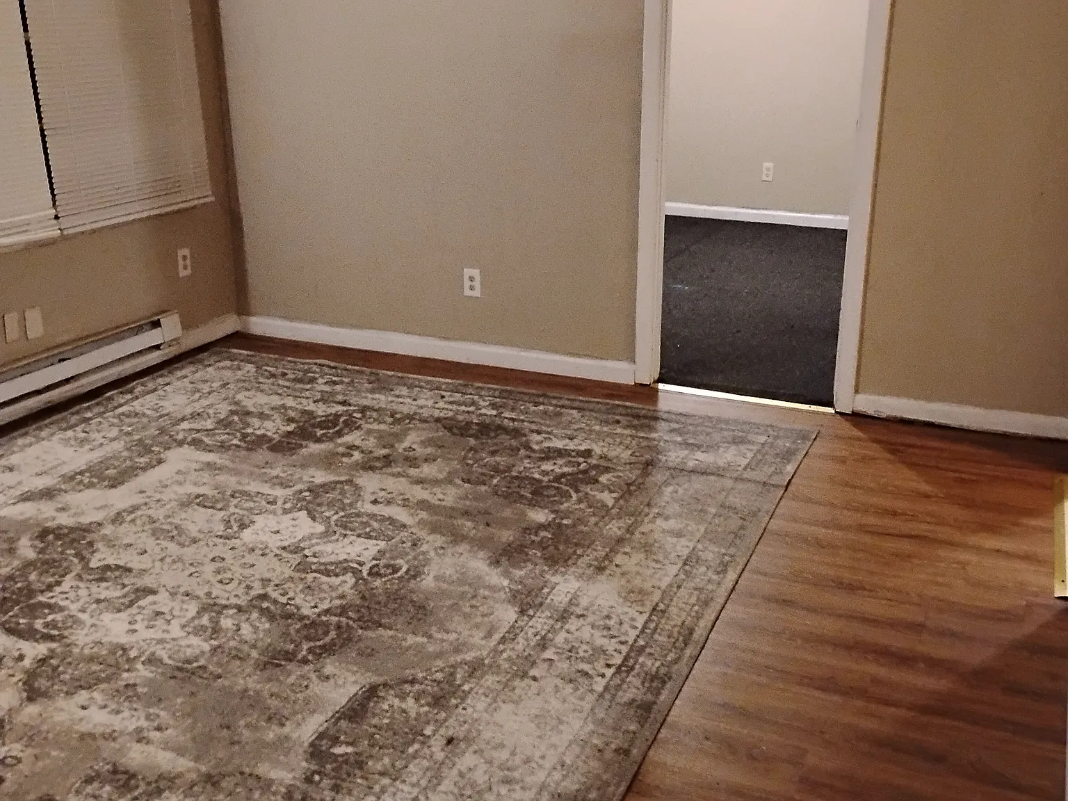 Raleigh Pines Dr, Raleigh — Photo 4